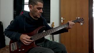 Paralamas Lanterna dos Afogados Bass Cover [upl. by Gebelein]