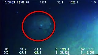 12 Mysterious Underwater Creatures Caught on Tape [upl. by Airliah535]