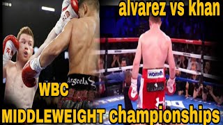 amir khan vs canelo alvarez full highlights [upl. by Aitnauq286]