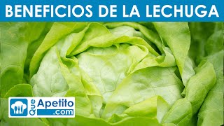 8 Propiedades y Beneficios de la Lechuga  QueApetito [upl. by Manton]