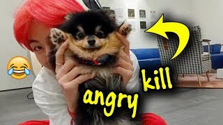 Yeontan hates Taehyung 🤭 [upl. by Aihtnyc]