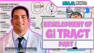 Gastrointestinal  Development amp Embryology of the GI Tract Part 1 [upl. by Aron]