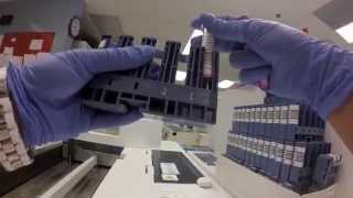 Behind the scenes What happens to a blood sample [upl. by Esetal]