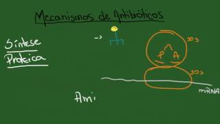 Mecanismos de Antibióticos e Resistência Bacteriana  Resumo  Microbiologia [upl. by Wadleigh139]