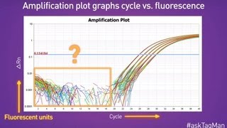 Baselines in RealTime PCR  Ask TaqMan® Ep 5 [upl. by Joly]