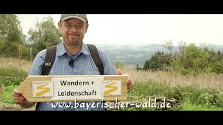 Der Goldsteig Purer Wandergenuss im Bayerischen Wald [upl. by Ayenat]