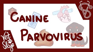 Canine Parvovirus  causes pathophysiology clinical signs diagnosis treatment prevention [upl. by Ahsieker]