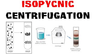 Isopycnic centrifugation [upl. by Aseuqram]