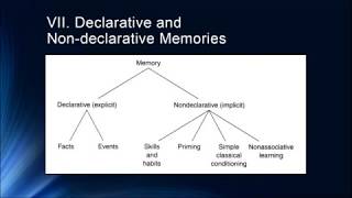 Cognition Lecture 5 1 Introduction to Longer Term Memories [upl. by Irrot]