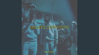 Focado Na Mi feat XROOTZ [upl. by Ez]