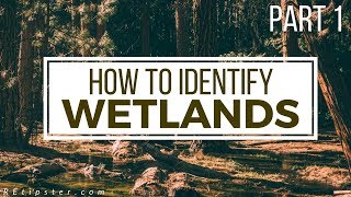 How to Identify and Avoid Wetlands  Part 1 [upl. by Lesiram]