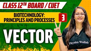 Biotechnology Principles and Processes 03  Vector  Class 12thCUET [upl. by Eniamert]