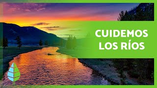 Cómo EVITAR la CONTAMINACIÓN de los RÍOS 🏞️⚠️ 9 Consejos [upl. by Kreegar]