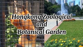 Hongkong Zoological and Botanical gardendivinabergonio [upl. by Aklim]