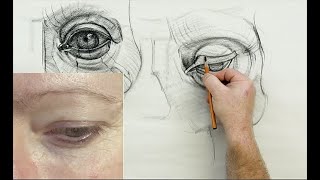 ANATOMY FOR ARTISTS Eye Anatomy [upl. by Anilasor]