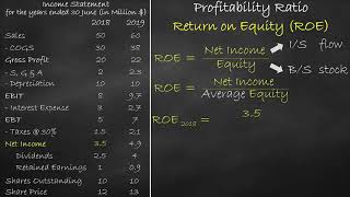 Profitability Ratio  Return on Equity [upl. by Humo]