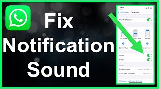 How To Fix WhatsApp Notification Sound EASY [upl. by Submuloc]