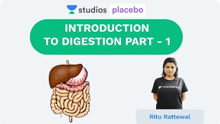 Introduction  Digestion Part 1  Human Physiology PremedicalNEETAIIMS  NEET 2020 [upl. by Nelyag630]