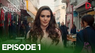 Turkish Drama in Urdu  Three Sisters Episode 1  Üç Kız Kardeş in Hindi  Drama Plus [upl. by Meehan576]