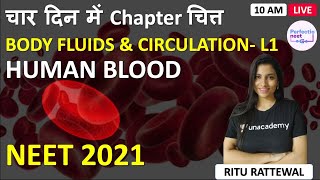 L1 Human Blood Body Fluids and Circulation  4 Din me Chapter Chitt  NEET 2021  Ritu Rattewal [upl. by Oner941]