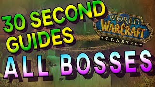 ZulGurub All Bosses  30 Second Guides [upl. by Enived]