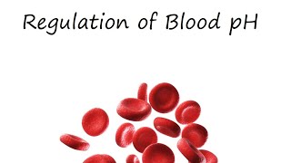 Regulation of Blood pH [upl. by Christoffer]