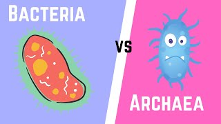 Difference between Bacteria and Archaea [upl. by Cohen]