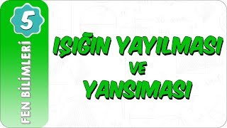 5 Sınıf Fen Bilimleri  Işığın Yayılması ve Yansıması [upl. by Sada]