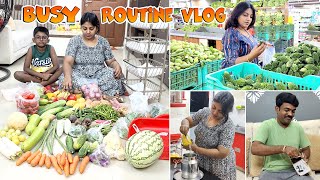 Vlog  Monthly Budget Planning Tips  Saving Tips  Busy Routine Karthikha Channel vlog [upl. by Wight]