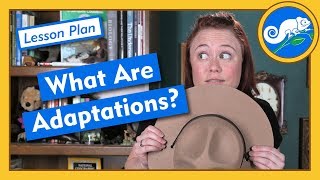 What Are Adaptations  Lesson Plan [upl. by Phelgen140]