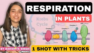 Respiration In Plants  Class 11 NCERT  One Shot  Best Biology Crash Course  Rakshita Singh [upl. by Sivrup197]