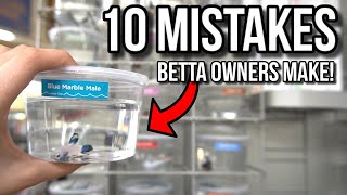 10 MISTAKES Betta Fish Owners Make [upl. by Muriah]