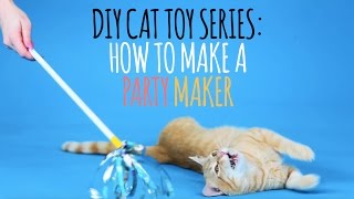 DIY Cat Toys  How to Make a Party Maker [upl. by Berhley502]