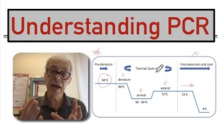 Understanding PCR [upl. by Irpac]