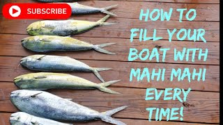 New Jersey fishing  HOW to catch Mahimahi [upl. by Lugo]