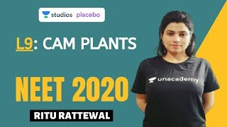 L9 CAM Plants  Photosynthesis Complete NCERT Review  NEET 2020 [upl. by Corsiglia]