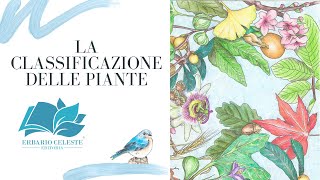 LA CLASSIFICAZIONE DELLE PIANTE [upl. by Carhart]