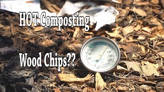 Can you compost wood chips [upl. by Changaris94]