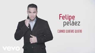 Felipe Pelaez  Cuando Quieras Quiero Cover Audio [upl. by Atiuqahc]