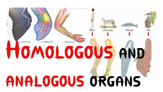 Homologous and analogous organs [upl. by Aihtyc]