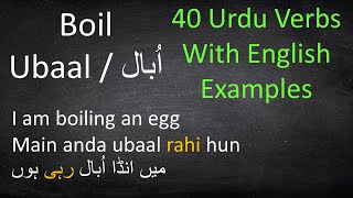 Basic Urdu Verbs with Examples  Urdu Grammar Lesson [upl. by Noreh966]