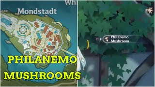 Where To Farm amp find philanemo mushrooms locations Genshin impact [upl. by Ambrosia182]