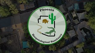 Virtual tour of the Phoenix Herpetological Sanctuary [upl. by Crista]