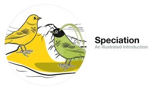 Speciation An Illustrated Introduction [upl. by Shererd815]