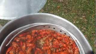 How To Boiling Crawfish Louisiana Style [upl. by Nelac27]