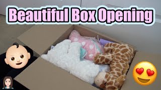 Beautiful Reborn Baby Box Opening Its Twins  Kelli Maple [upl. by Ethelred]