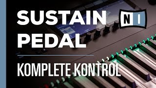 Sustain Pedal Setup  Komplete Kontrol [upl. by Melissa219]