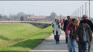 walking through auschwitz [upl. by Faydra626]