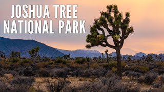 15 Places to Explore in Joshua Tree National Park [upl. by Anialeh]