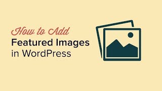 How to Add Featured Images or Post Thumbnails in WordPress [upl. by Fineman416]